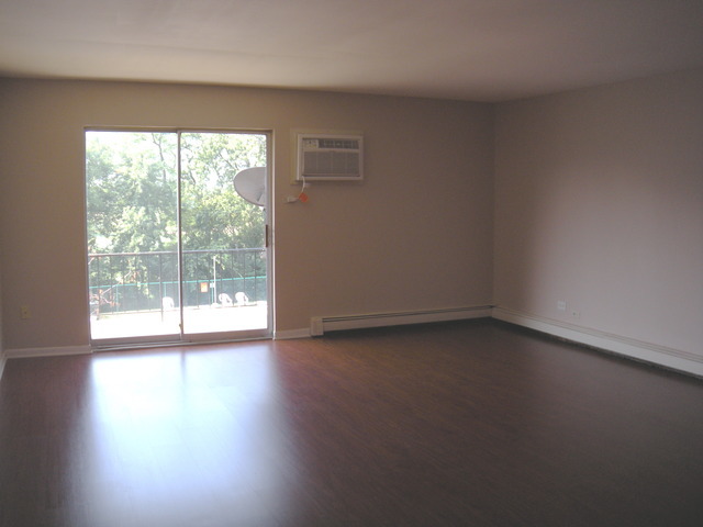 2343 Ogden Avenue #11, Downers Grove, IL 60515
