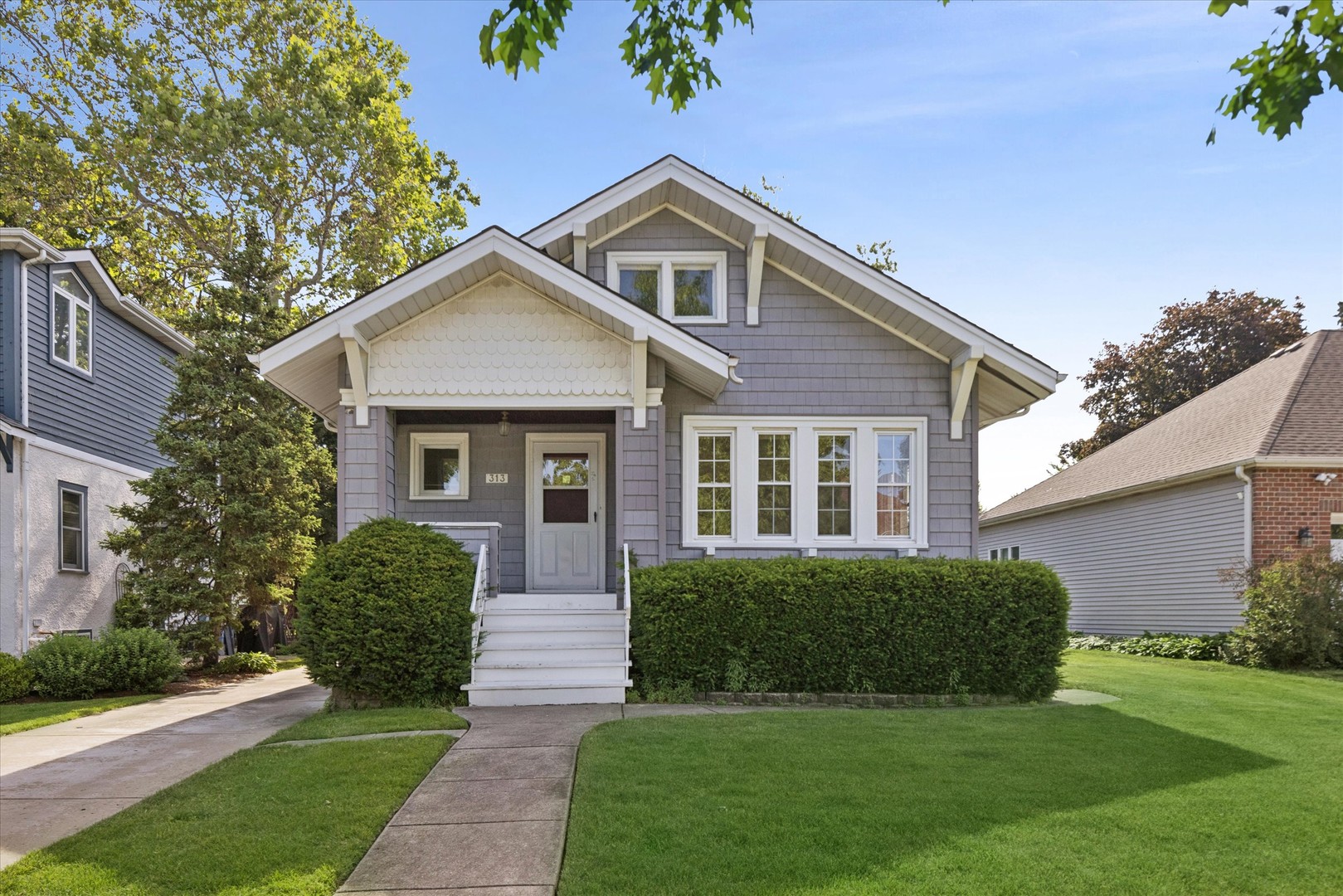 313 N Larch Avenue, Elmhurst, IL 60126