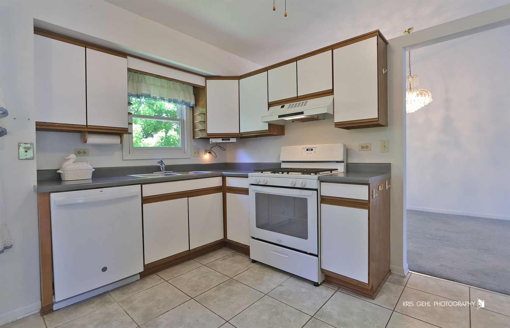 16 S Emerald Avenue, Mundelein, IL 60060
