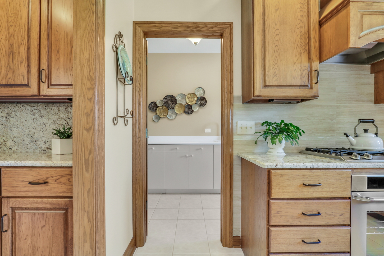 3011 Cyprus Court, Buffalo Grove, IL 60089