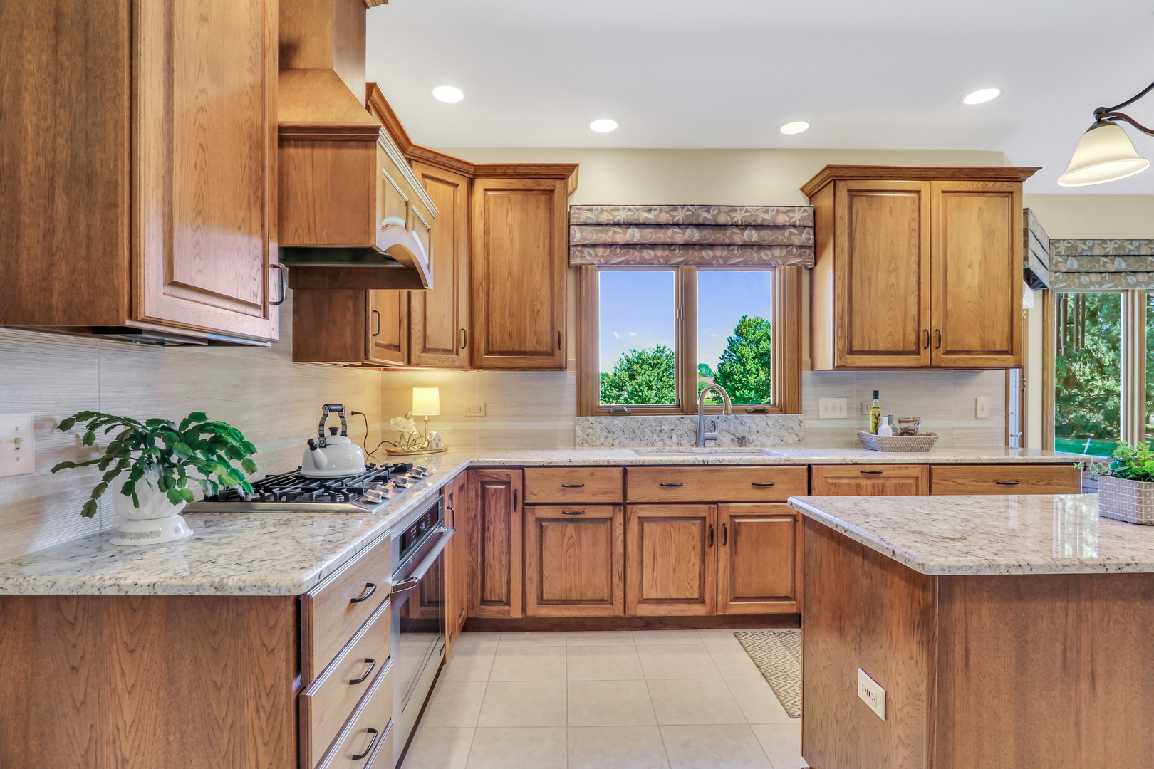 3011 Cyprus Court, Buffalo Grove, IL 60089