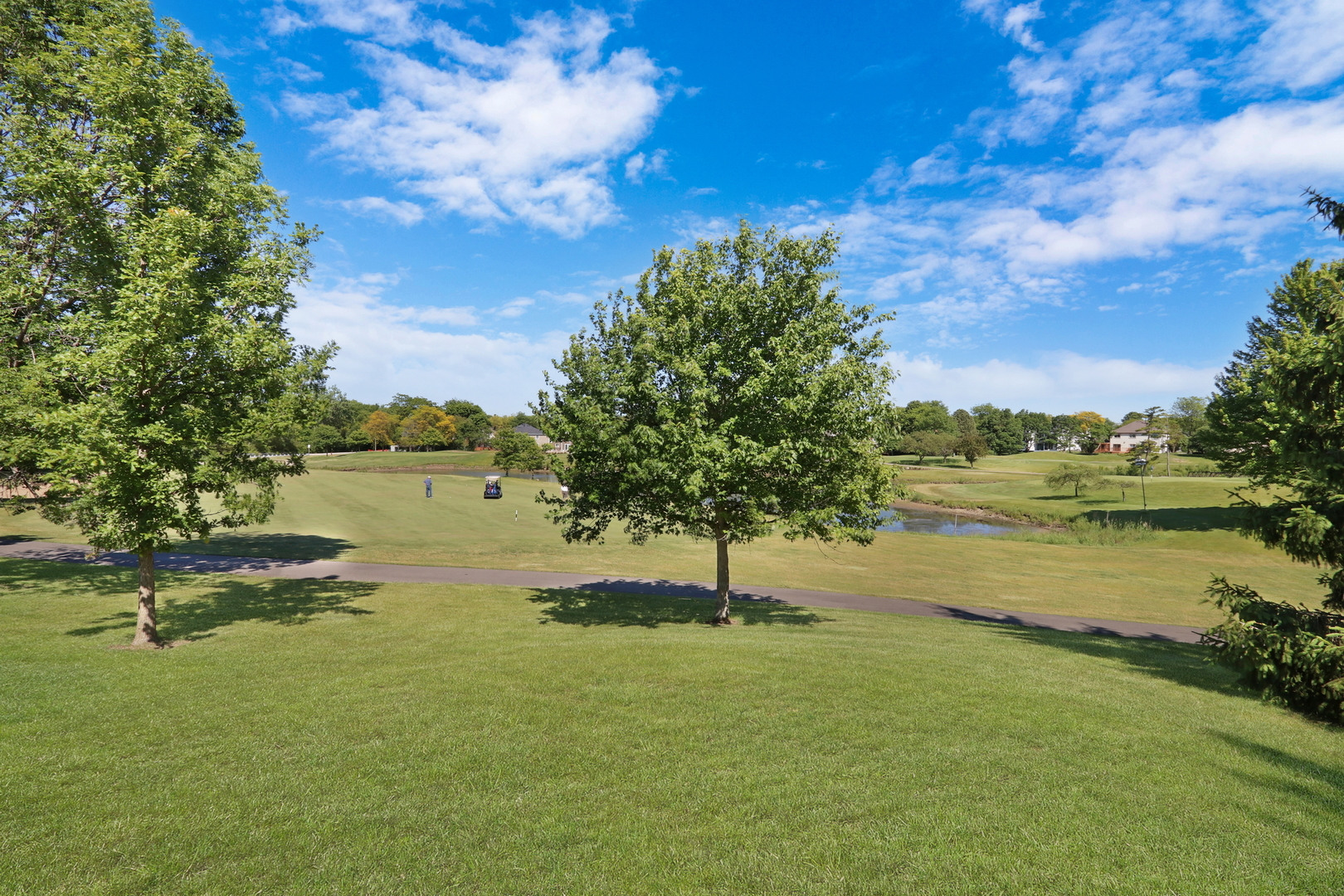 3011 Cyprus Court, Buffalo Grove, IL 60089