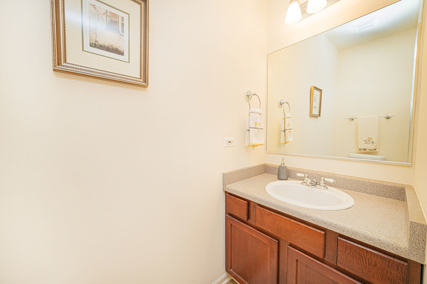 24090 W Pear Tree Circle, Plainfield, IL 60585