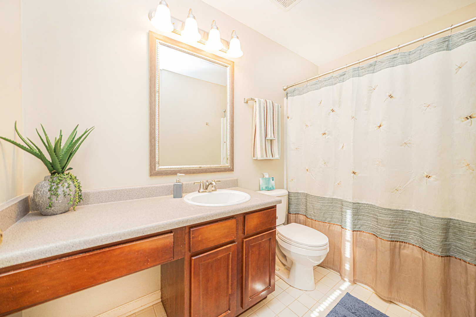 24090 W Pear Tree Circle, Plainfield, IL 60585
