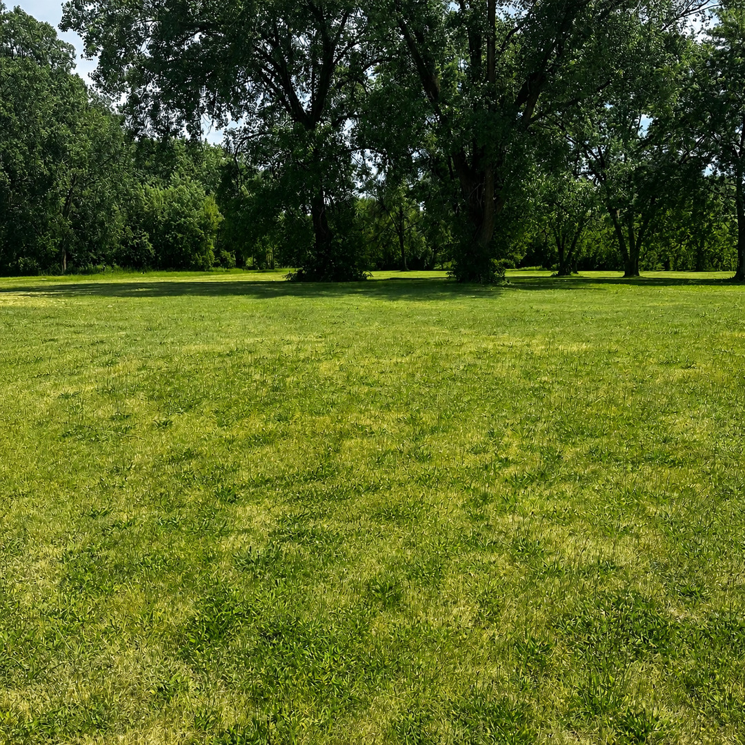 0000 Grove Street, Aurora, IL 60505