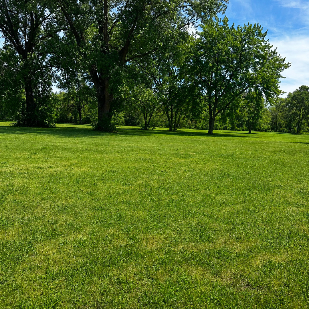 0000 Grove Street, Aurora, IL 60505