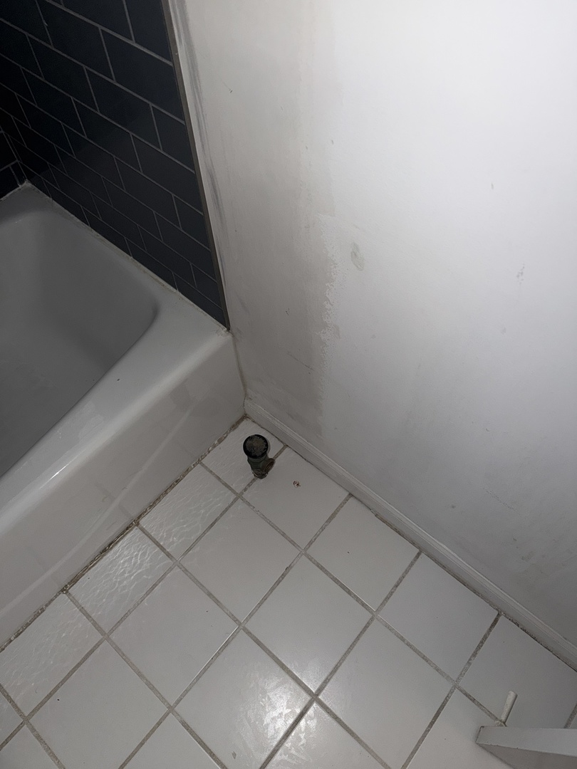 3135 W LELAND Avenue #2E, Chicago, IL 60625