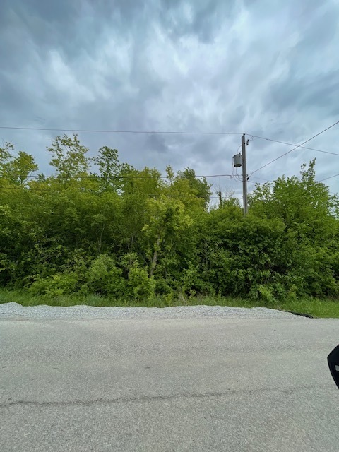 22839 Woodlawn Avenue, Steger, IL 60475