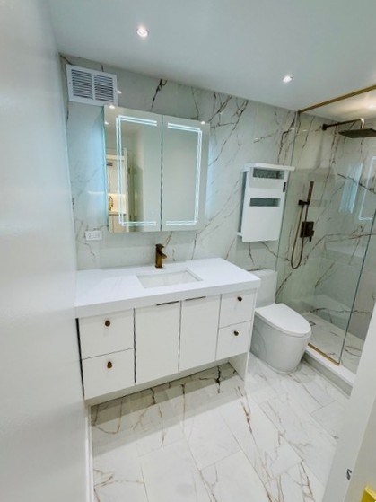 100 E Walton Street #36C, Chicago, IL 60611