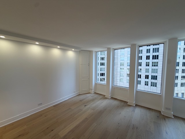 100 E Walton Street #36C, Chicago, IL 60611