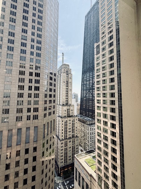 100 E Walton Street #36C, Chicago, IL 60611